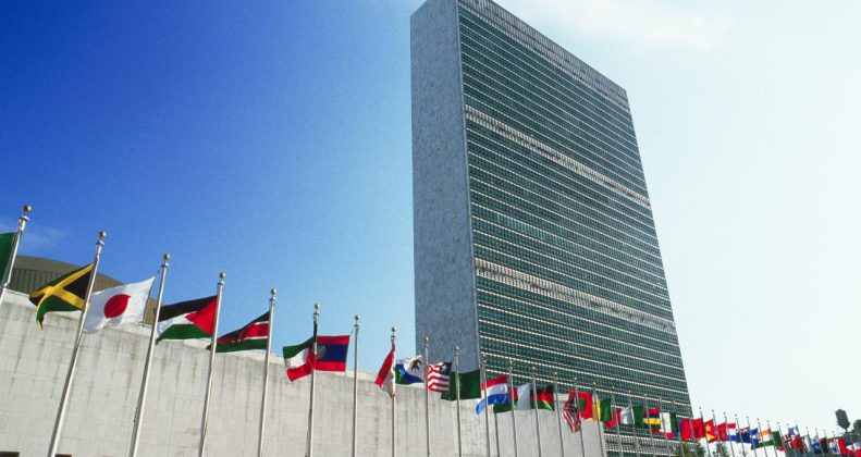 Collezione di arte dell'ONU Collezioni ONU Nazioni Unite