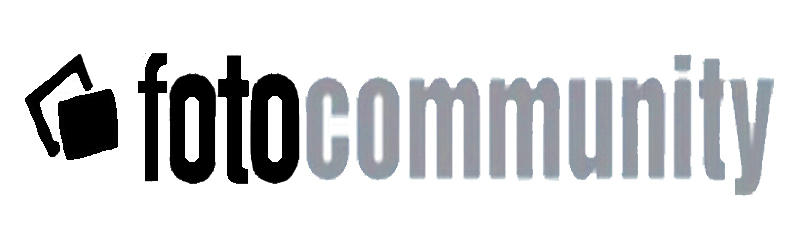 pittura fotografia arte andrea benetti